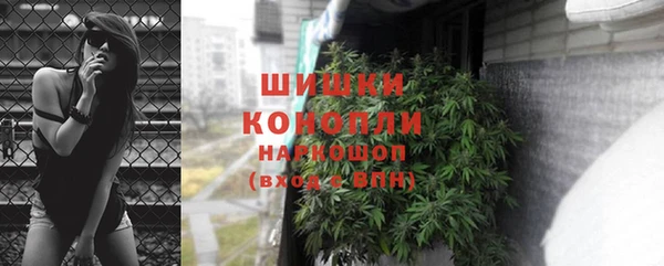 крисы Армянск