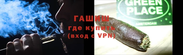 шишки Арсеньев
