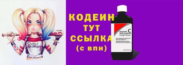 крисы Армянск