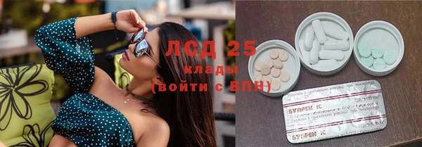 шишки Арсеньев