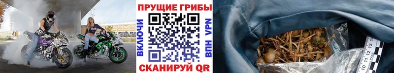 Галлюциногенные грибы Magic Shrooms  Купить закладки  Лысково 